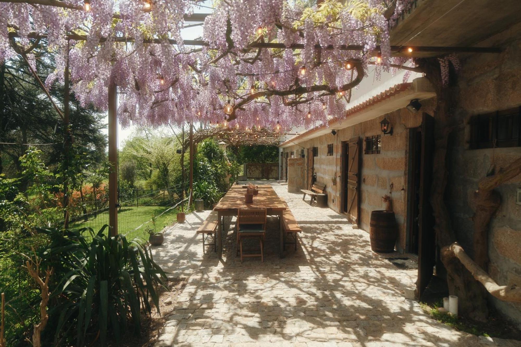 Casa Da Alvarinha Privacidade Conforto Natureza Paredes  Εξωτερικό φωτογραφία