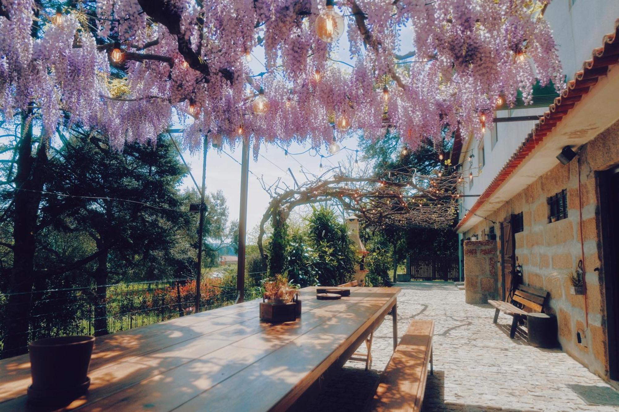 Casa Da Alvarinha Privacidade Conforto Natureza Paredes  Εξωτερικό φωτογραφία