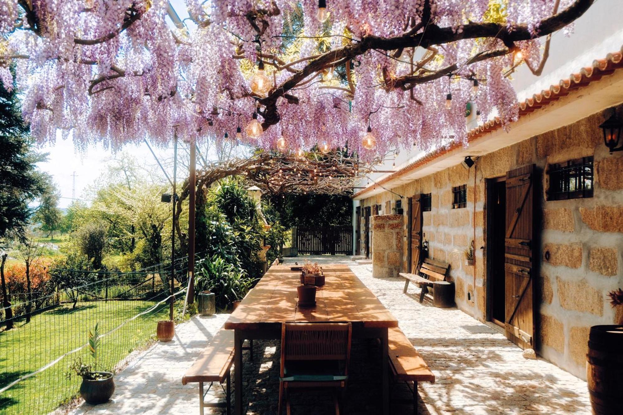 Casa Da Alvarinha Privacidade Conforto Natureza Paredes  Εξωτερικό φωτογραφία